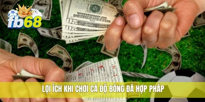 Lợi ích khi chơi cá độ bóng đá hợp pháp